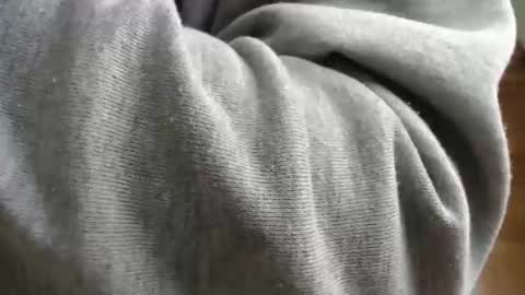 Ben online show from April 2026 09:08:01 AM