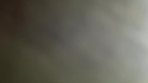 n0facen0case1 online show from January 2025 01:22:01 PM