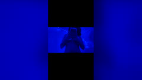 naelove2222 online show from April 2026 06:27:01 AM