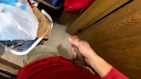 nairda2senoniuq online show from December 2024 04:09:02 AM