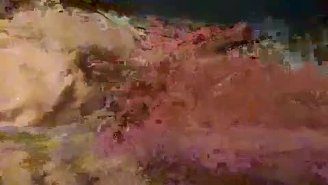 naishhover online show from March 2025 07:49:02 PM