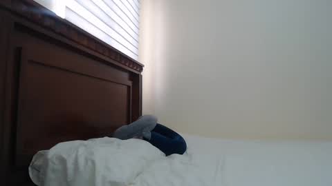 Snapshot of nala_foster chatting on February 2025 03:10:01 PM Nala online show from February 2025 03:10:01 PM