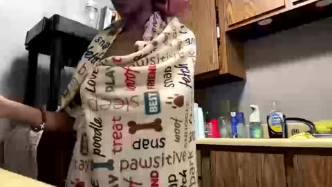 nanaonn online show from October 2025 04:19:01 PM