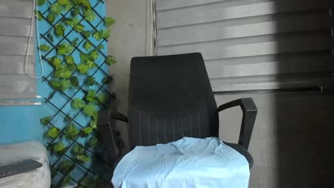 deibyd online show from January 2025 01:27:01 PM