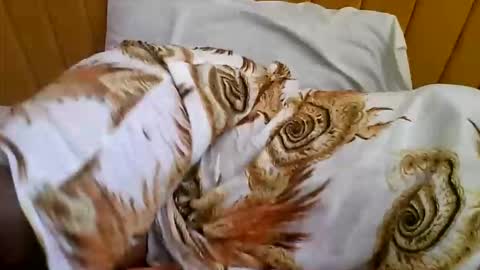 Sweet Ella online show from October 2025 07:17:02 AM