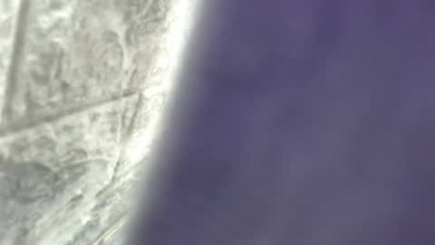 natalieevansx online show from November 2025 03:39:01 PM