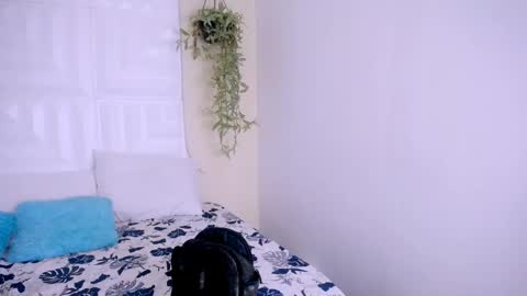 NATALY online show from April 2026 05:21:01 PM