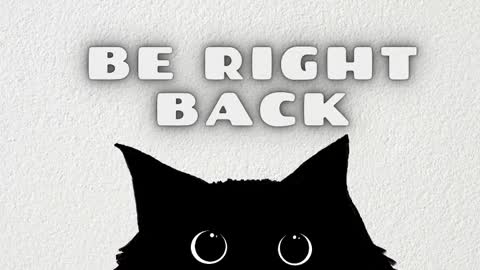 Nataly online show from February 2026 11:37:02 AM