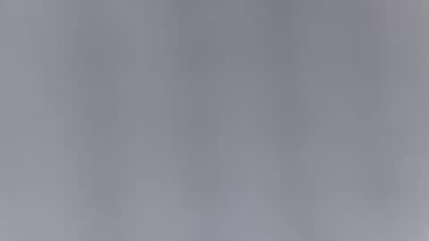 Haven online show from March 2026 02:12:02 PM