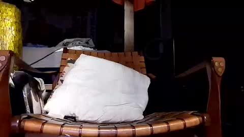 Haven online show from April 2026 09:23:01 AM