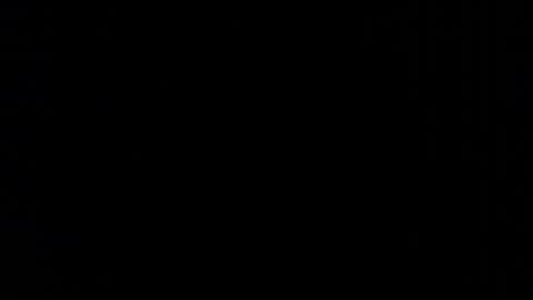      online show from February 2026 05:01:01 AM