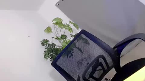 Call me Carol online show from April 2026 05:34:02 AM