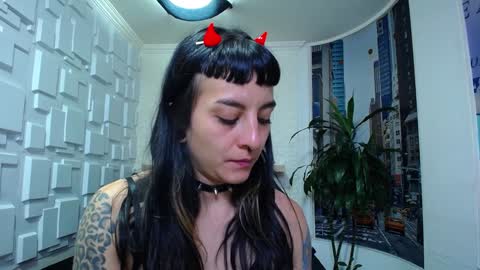 Kitten online show from December 2024 02:59:02 PM
