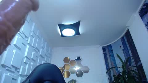 Kitten online show from December 2024 02:21:01 PM