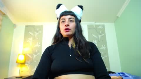 Kitten online show from January 2025 05:31:01 PM