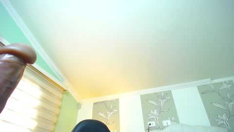 Kitten online show from January 2025 02:03:01 PM