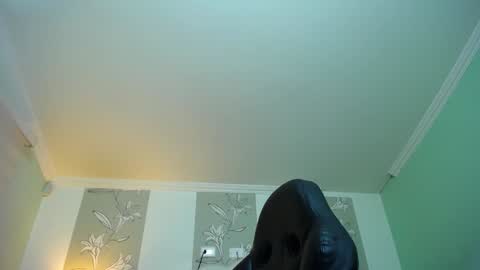 Kitten online show from January 2025 11:28:02 AM