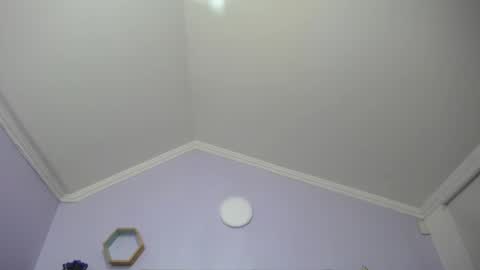 Kitten online show from January 2025 11:34:01 AM