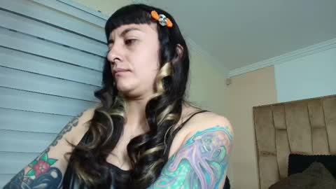 Kitten online show from September 2025 10:49:01 AM