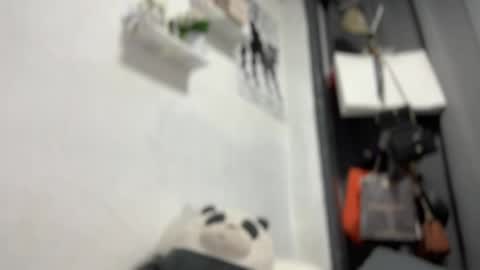 your girlfriend mira online show from April 2026 01:47:02 AM