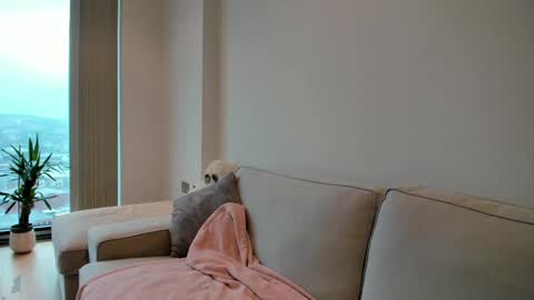 Snapshot of naughtynerdygirl chatting on February 2025 02:37:01 PM Gigi Chu online show from February 2025 02:37:01 PM