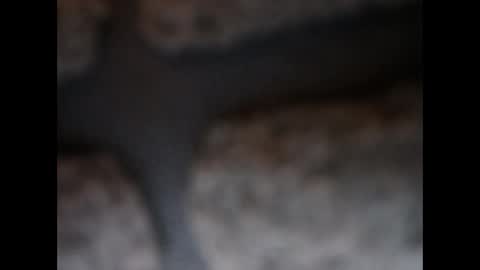 naughtypanties123 online show from March 2026 06:08:02 AM