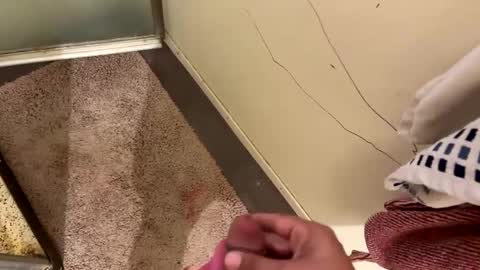 Snapshot of nbarrie98 chatting on December 2024 04:25:01 PM nbarrie98 online show from December 2024 04:25:01 PM