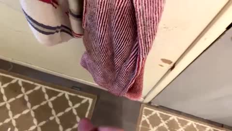 Snapshot of nbarrie98 chatting on February 2025 04:18:01 PM nbarrie98 online show from February 2025 04:18:01 PM