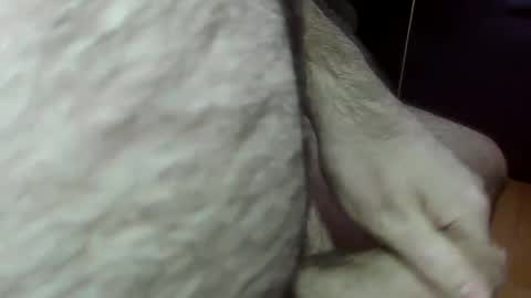 ncbncb online show from January 2025 04:46:02 PM