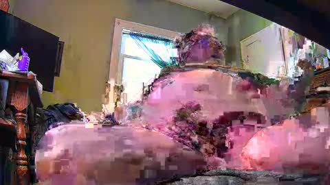 ND Cowpoke online show from February 2025 09:46:02 PM