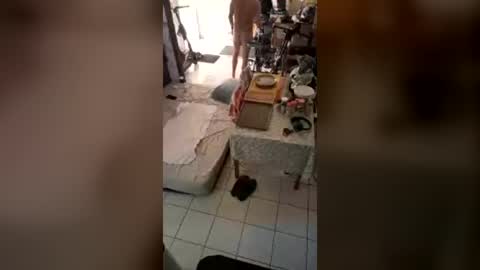 Snapshot of neamtu78 chatting on July 2026 06:05:01 AM neamtu online show from July 2026 06:05:01 AM