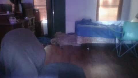 Snapshot of ned_is_naughty chatting on June 2026 12:31:01 AM ned is naughty online show from June 2026 12:31:01 AM