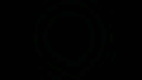 Sebastian online show from November 2025 05:55:02 PM