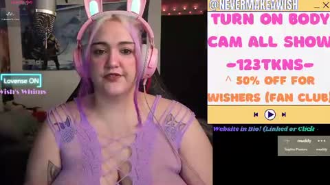 Snapshot of nevermakeawish chatting on June 2026 11:14:01 AM Wishs Playground online show from June 2026 11:14:01 AM