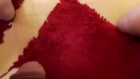 BookWriter online show from December 2024 08:33:02 AM