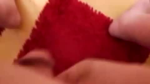 BookWriter online show from December 2024 07:05:01 AM