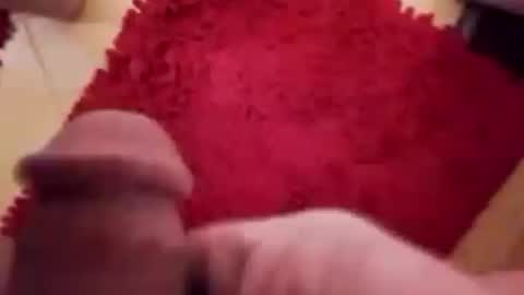 BookWriter online show from December 2024 07:30:01 AM