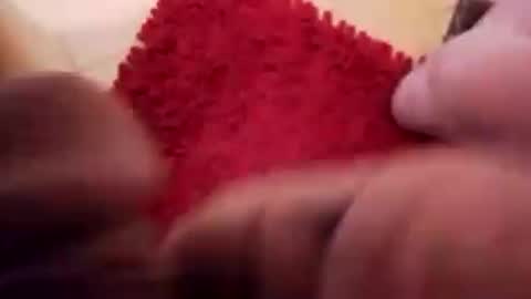 BookWriter online show from December 2024 08:20:01 AM