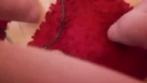 BookWriter online show from December 2024 08:20:01 AM