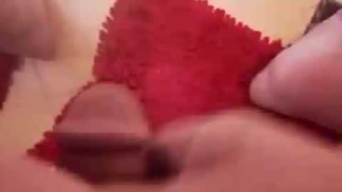 BookWriter online show from December 2024 08:17:02 AM