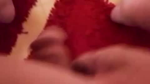 BookWriter online show from December 2024 06:30:02 AM