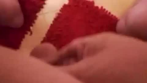 BookWriter online show from December 2024 08:22:02 AM