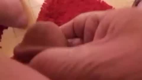 BookWriter online show from January 2025 07:39:01 AM