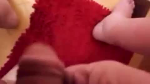 BookWriter online show from January 2025 06:52:02 AM