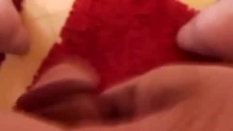 BookWriter online show from January 2025 07:49:02 AM