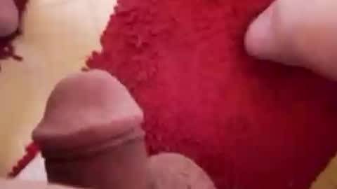 BookWriter online show from January 2025 06:41:02 AM