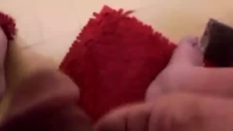 BookWriter online show from February 2025 07:02:02 AM