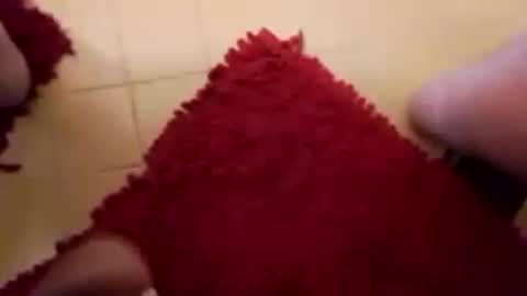 BookWriter online show from February 2025 07:38:02 AM