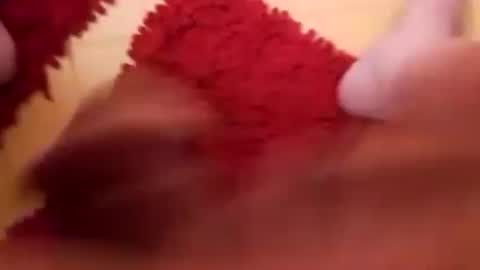 BookWriter online show from February 2025 07:48:01 AM