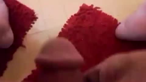 BookWriter online show from February 2025 06:38:02 AM